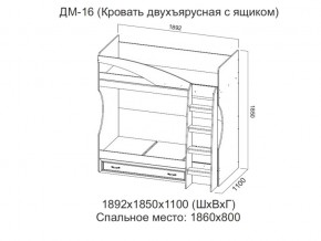 ДМ-16 Кровать двухъярусная с ящиком в Сухом Логу - suhoj-log.магазин96.com | фото