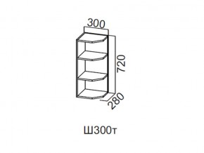 Ш300т/720 Шкаф навесной 300/720 (торцевой) в Сухом Логу - suhoj-log.магазин96.com | фото