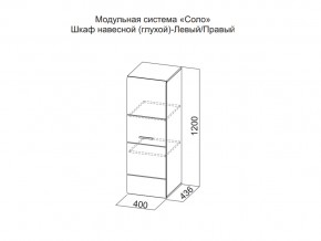 Шкаф навесной (глухой) Левый в Сухом Логу - suhoj-log.магазин96.com | фото