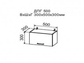 Шкаф верхний ДПГ500 горизонтальный в Сухом Логу - suhoj-log.магазин96.com | фото