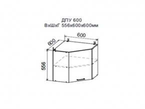 Шкаф верхний ДПУ600 угловой в Сухом Логу - suhoj-log.магазин96.com | фото