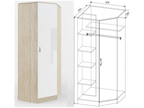 СШУ860.1 Шкаф угловой в Сухом Логу - suhoj-log.магазин96.com | фото